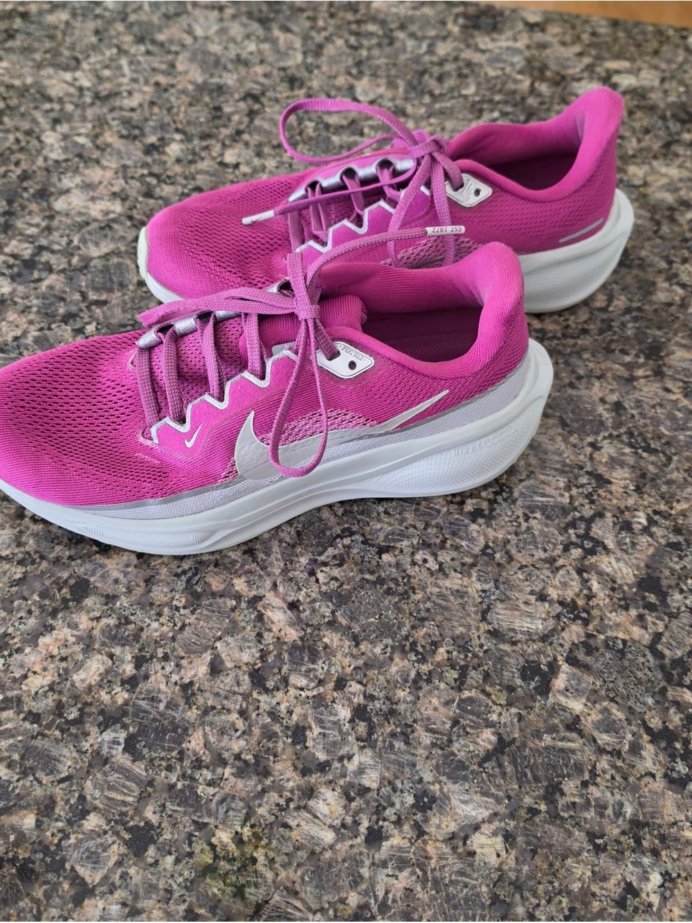 Nike Pegasus 41 magenta reflective colorway GUC women’s size 8